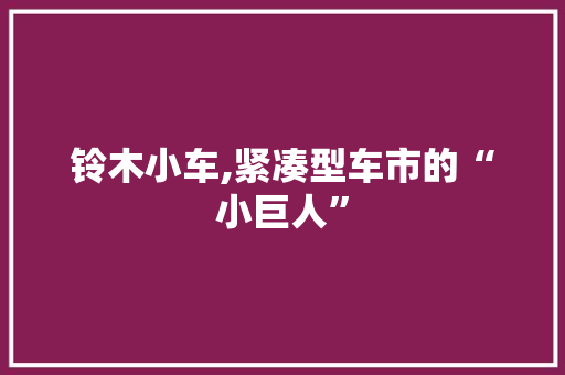 铃木小车,紧凑型车市的“小巨人”