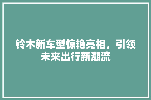 铃木新车型惊艳亮相，引领未来出行新潮流 蓄电池配件