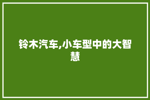 铃木汽车,小车型中的大智慧