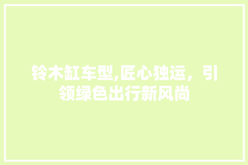 铃木缸车型,匠心独运，引领绿色出行新风尚