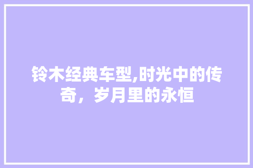 铃木经典车型,时光中的传奇，岁月里的永恒
