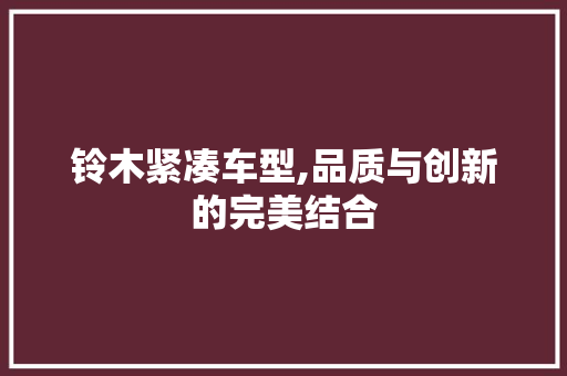 铃木紧凑车型,品质与创新的完美结合