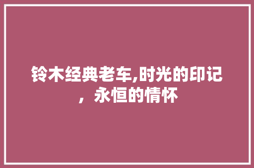 铃木经典老车,时光的印记，永恒的情怀