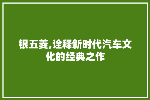 银五菱,诠释新时代汽车文化的经典之作