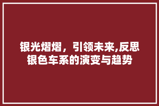 银光熠熠，引领未来,反思银色车系的演变与趋势
