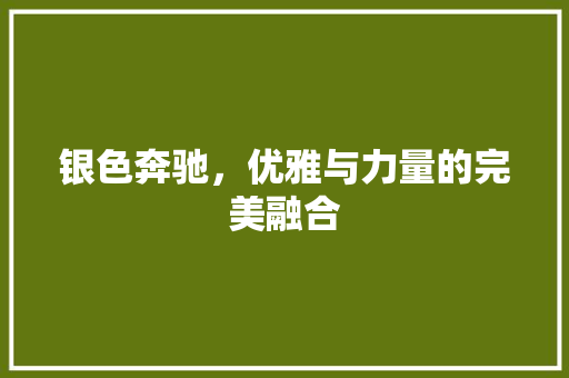 银色奔驰，优雅与力量的完美融合