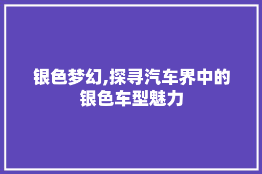 银色梦幻,探寻汽车界中的银色车型魅力