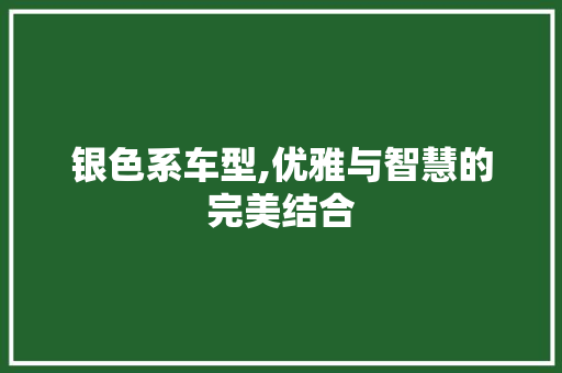 银色系车型,优雅与智慧的完美结合 发动机配件