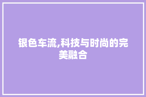 银色车流,科技与时尚的完美融合