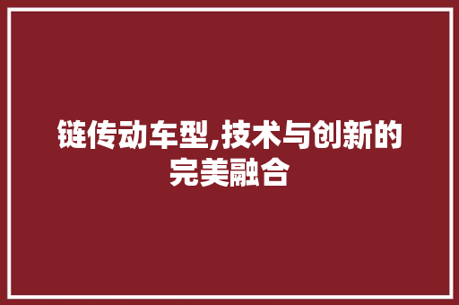 链传动车型,技术与创新的完美融合 汽车配件