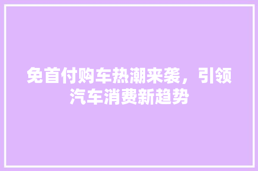 免首付购车热潮来袭，引领汽车消费新趋势