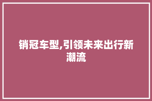 销冠车型,引领未来出行新潮流