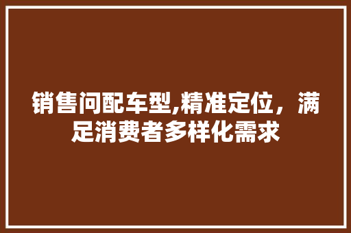 销售问配车型,精准定位，满足消费者多样化需求