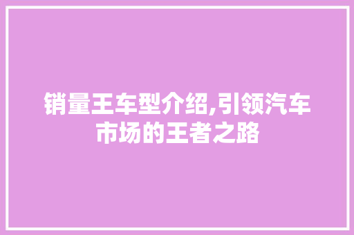 销量王车型介绍,引领汽车市场的王者之路
