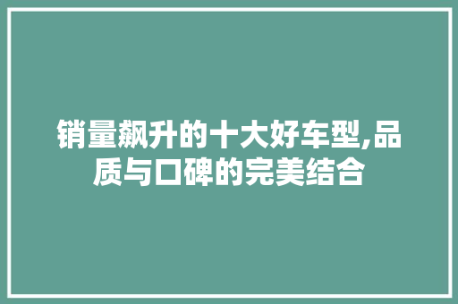 销量飙升的十大好车型,品质与口碑的完美结合