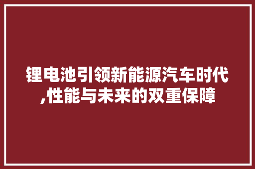 锂电池引领新能源汽车时代,性能与未来的双重保障