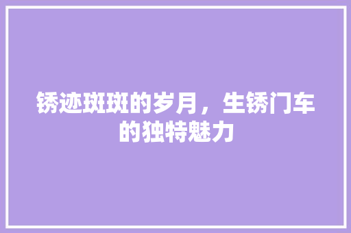 锈迹斑斑的岁月，生锈门车的独特魅力 新款车型