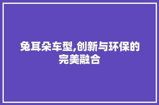 兔耳朵车型,创新与环保的完美融合