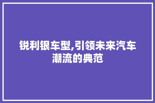 锐利银车型,引领未来汽车潮流的典范