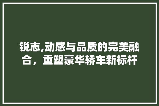 锐志,动感与品质的完美融合，重塑豪华轿车新标杆