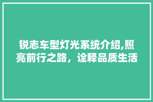 锐志车型灯光系统介绍,照亮前行之路，诠释品质生活