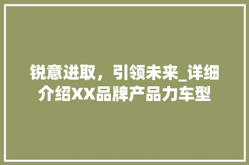 锐意进取，引领未来_详细介绍XX品牌产品力车型 蓄电池配件