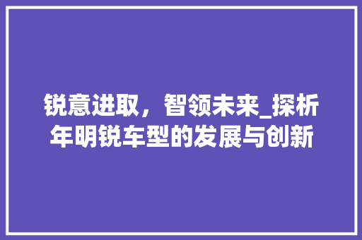 锐意进取，智领未来_探析年明锐车型的发展与创新