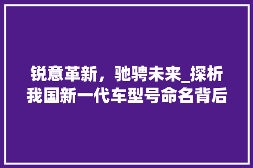 锐意革新，驰骋未来_探析我国新一代车型号命名背后的科技力量
