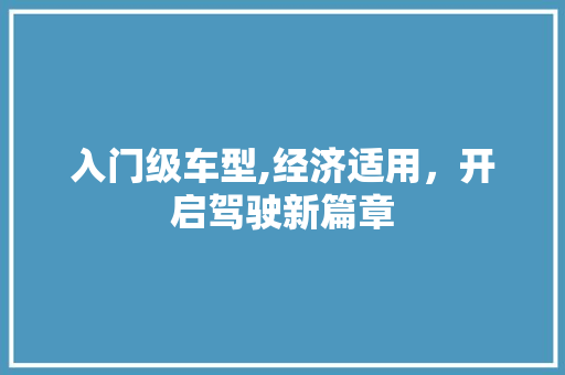 入门级车型,经济适用，开启驾驶新篇章