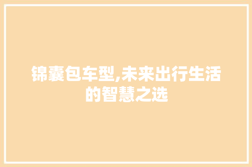 锦囊包车型,未来出行生活的智慧之选