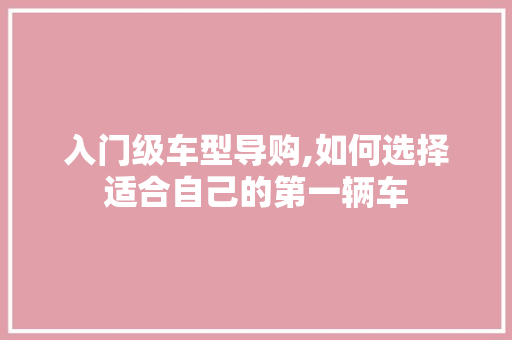 入门级车型导购,如何选择适合自己的第一辆车