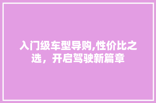入门级车型导购,性价比之选，开启驾驶新篇章