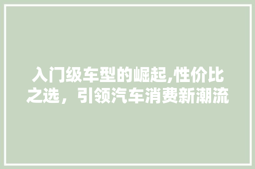 入门级车型的崛起,性价比之选，引领汽车消费新潮流