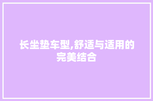 长坐垫车型,舒适与适用的完美结合