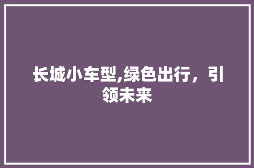 长城小车型,绿色出行，引领未来