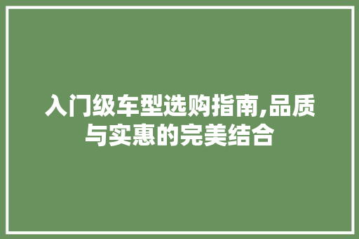 入门级车型选购指南,品质与实惠的完美结合