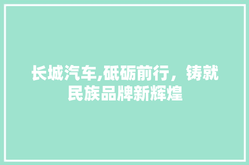 长城汽车,砥砺前行，铸就民族品牌新辉煌