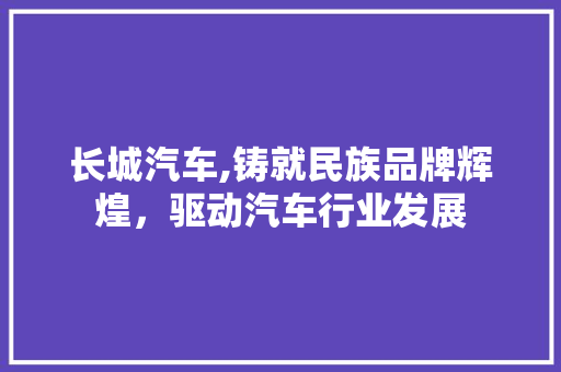 长城汽车,铸就民族品牌辉煌，驱动汽车行业发展