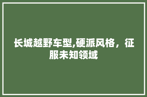 长城越野车型,硬派风格，征服未知领域 发动机配件