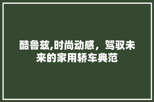 酷鲁兹,时尚动感，驾驭未来的家用轿车典范