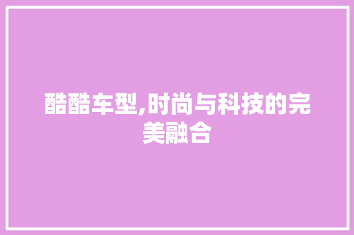 酷酷车型,时尚与科技的完美融合