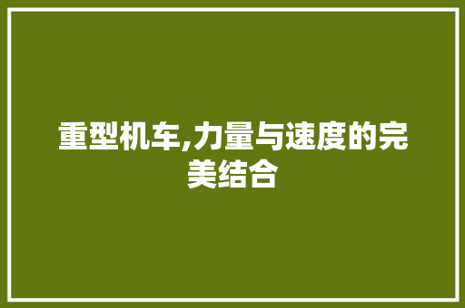 重型机车,力量与速度的完美结合