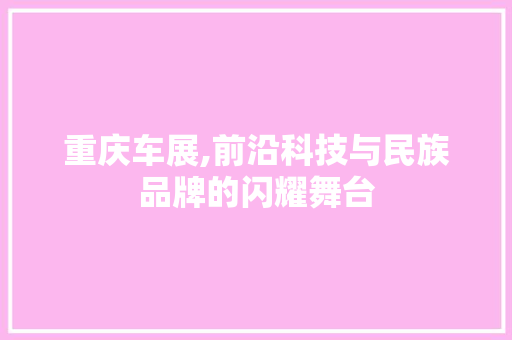 重庆车展,前沿科技与民族品牌的闪耀舞台