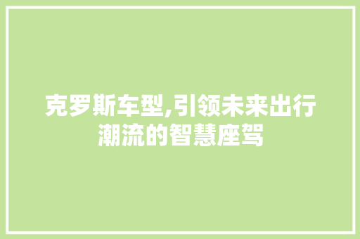 克罗斯车型,引领未来出行潮流的智慧座驾