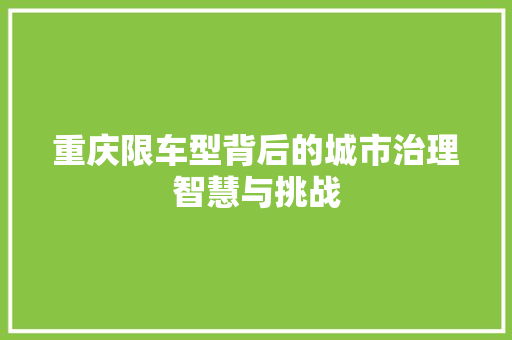 重庆限车型背后的城市治理智慧与挑战
