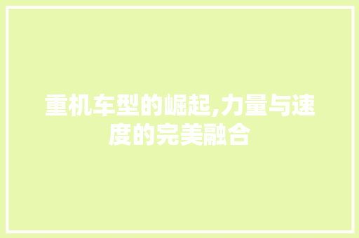 重机车型的崛起,力量与速度的完美融合