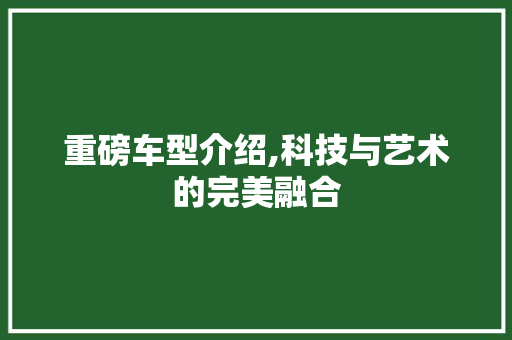 重磅车型介绍,科技与艺术的完美融合