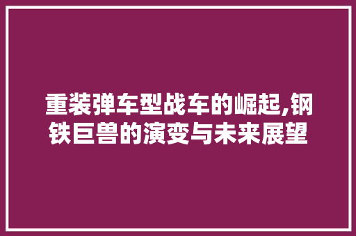 重装弹车型战车的崛起,钢铁巨兽的演变与未来展望