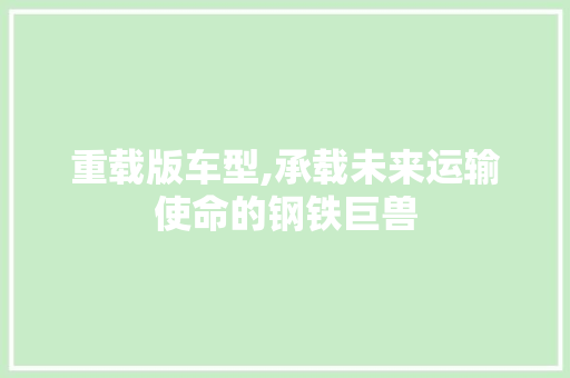 重载版车型,承载未来运输使命的钢铁巨兽
