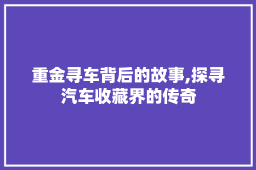 重金寻车背后的故事,探寻汽车收藏界的传奇